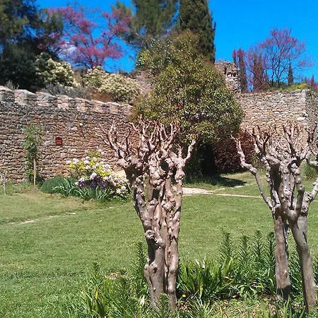 Chateau D'agel D'hotes Bed & Breakfast Agel