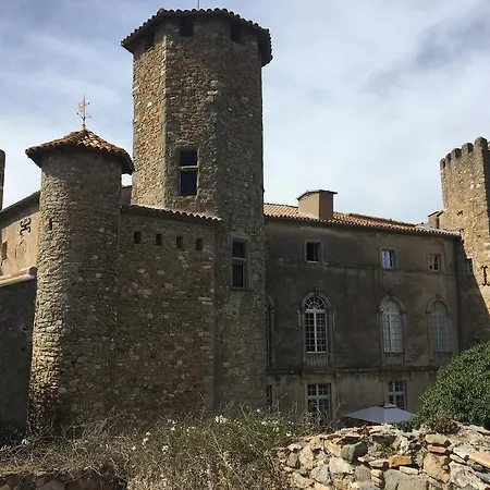 Chateau D'agel D'hotes Bed & Breakfast Agel